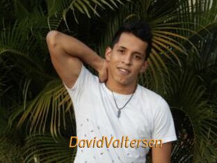 DavidValtersen