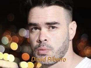 David_Ribeiro Porn University