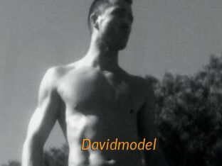 Davidmodel