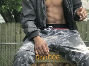 Day1DOG