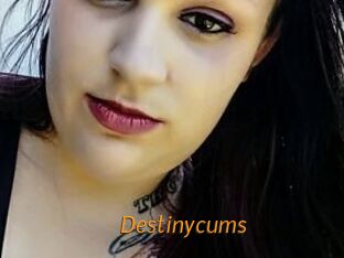 Destinycums Porn University