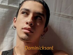 Dominicksant