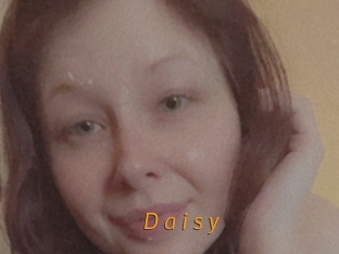 D_a_i_s_y