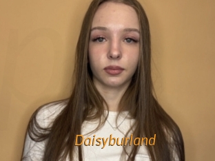 Daisyburland