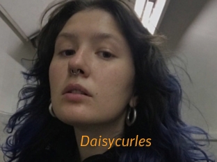 Daisycurles