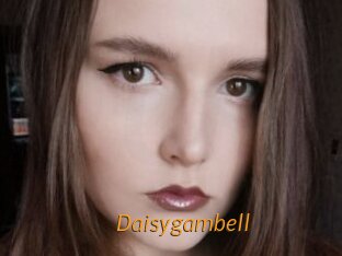 Daisygambell