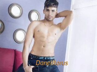 Daneil_torus