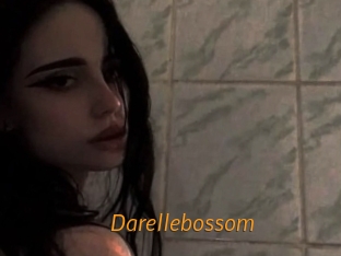 Darellebossom