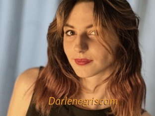 Darlenegriscom