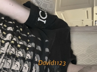 David1123