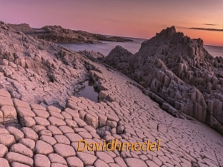 Davidhmodel
