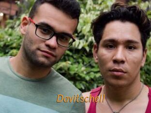 Davitschell