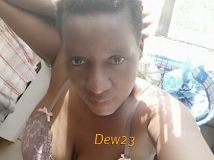 Dew23