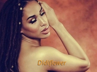 Didiflower