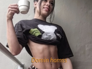 Domin_hamss