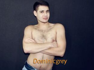 Dominicgrey