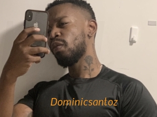 Dominicsantoz