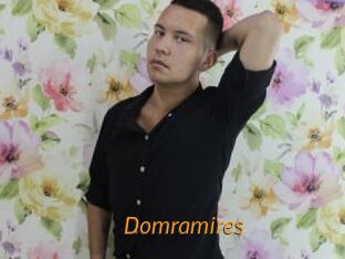 Domramires