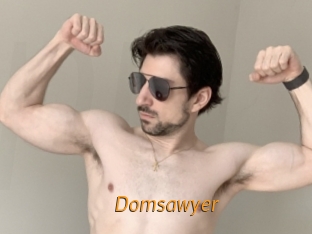 Domsawyer