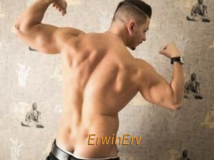 ErwinErv