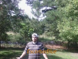 Escorbar_Blue