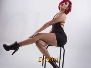 EvaBird
