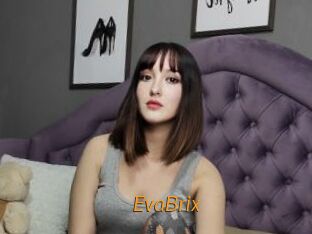EvaBrix