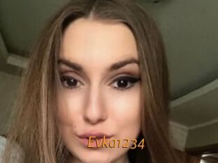 Evka1234