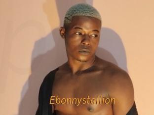 Ebonnystallion