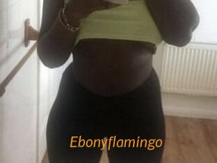 Ebony_flamingo
