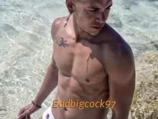 eddbigcock97 Porn University