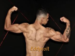 Eddycolt