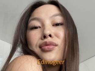 Edinageer