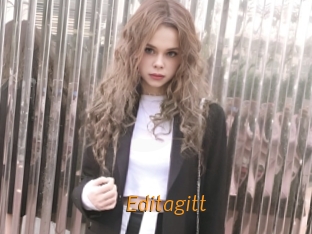 Editagitt