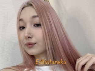 edlinhawks Porn University