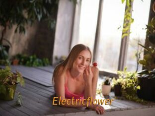 Electricflower