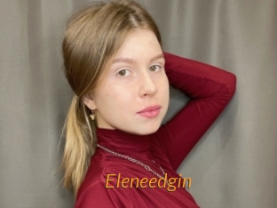 Eleneedgin