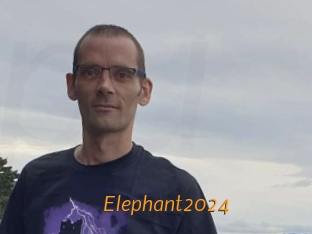 Elephant2024