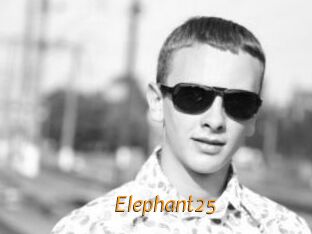 Elephant25