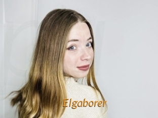 Elgaborer