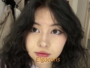 Elgacarls