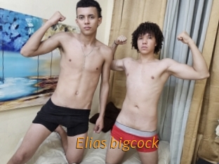 elias_bigcock Porn University