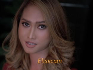 Elisecam