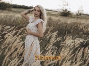 Elizamool