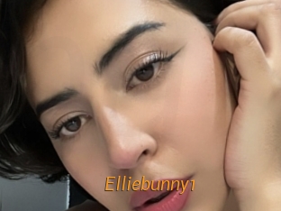 Elliebunny1
