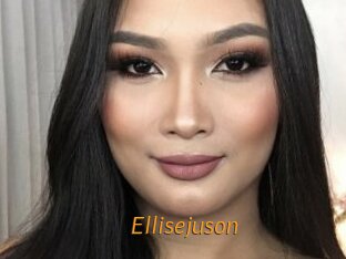 Ellisejuson