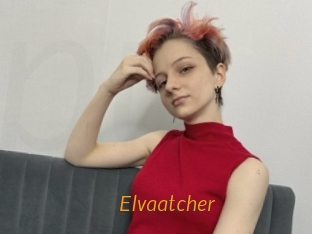 Elvaatcher