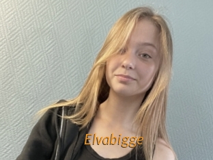 Elvabigge