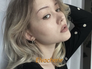 Elvacherie