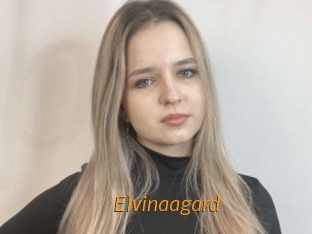 Elvinaagard